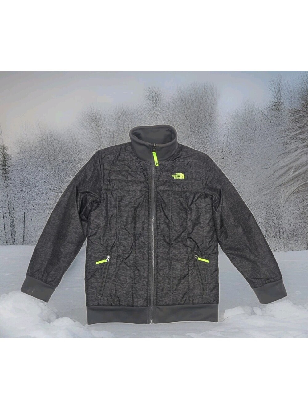 The North Face Winter Jacket Boys Youth Large 14 16 Reversible Chimbo Yukon Ski